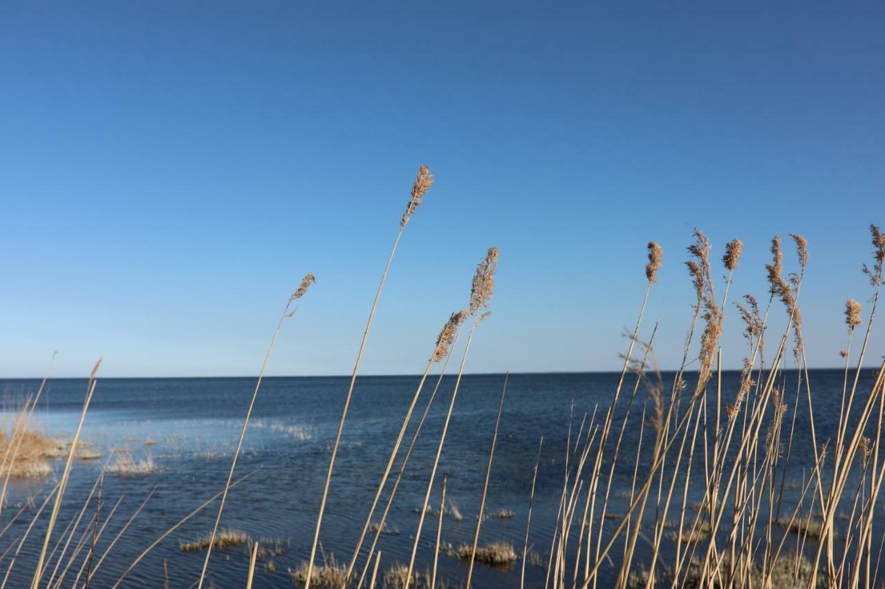 דירות Stolpe auf Usedom Schloss Am Haff מראה חיצוני תמונה